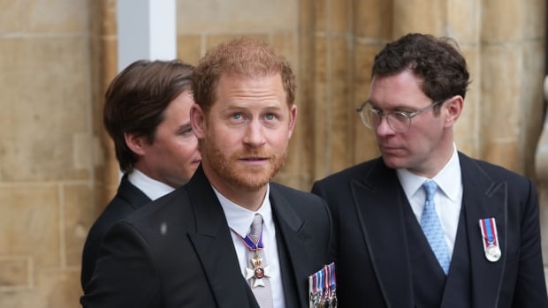 Prince Harry loses court ruling on paying for