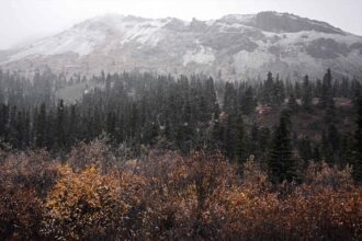 Rangers at a rescue in Alaska’s Denali National Park