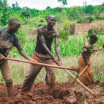 Small-scale farmers want Agroecology Farming