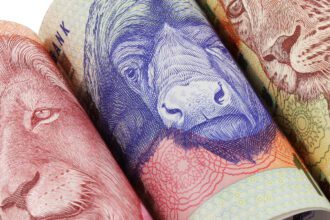 South Africa’s budget has a political problem