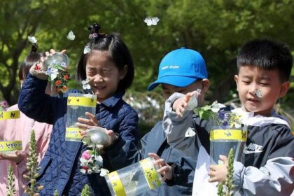 South Korean legislature's call to abolish 'no children'