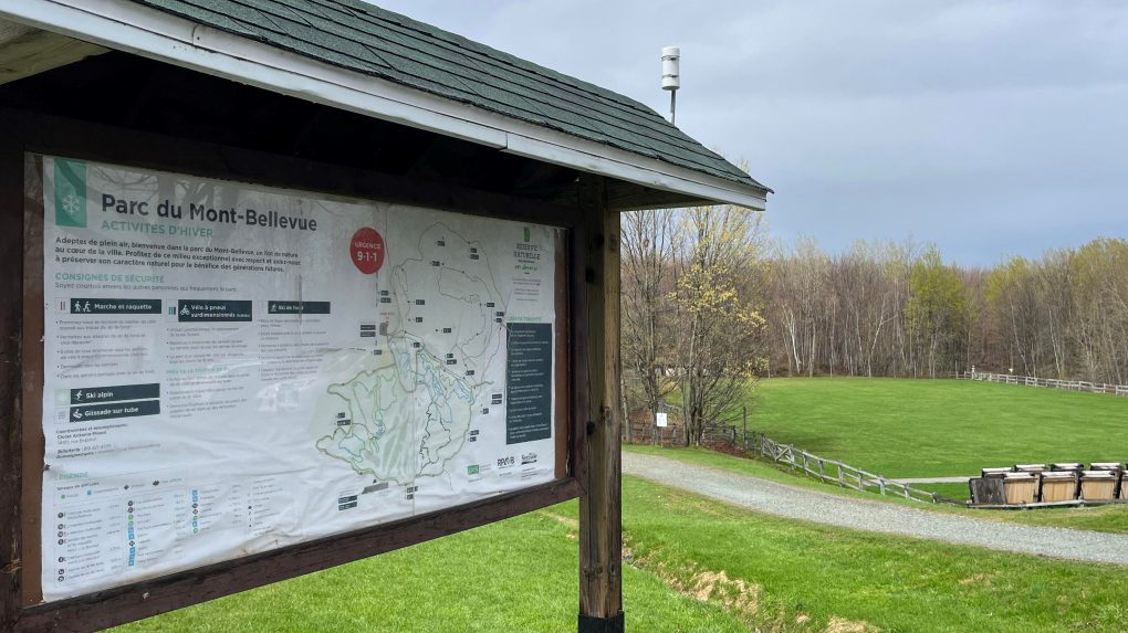 Students find body in Quebec park during field