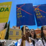 The Portuguese parliament votes for limited permission