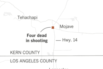 Three women and one man die in Mojave shooting