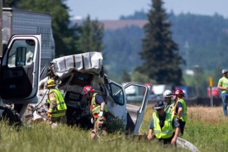 Truck driver stopped on highway with several vehicles