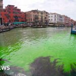 Venice Canal Patch turns fluorescent green