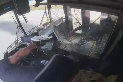 Wild video shows Charlotte bus driver, passenger