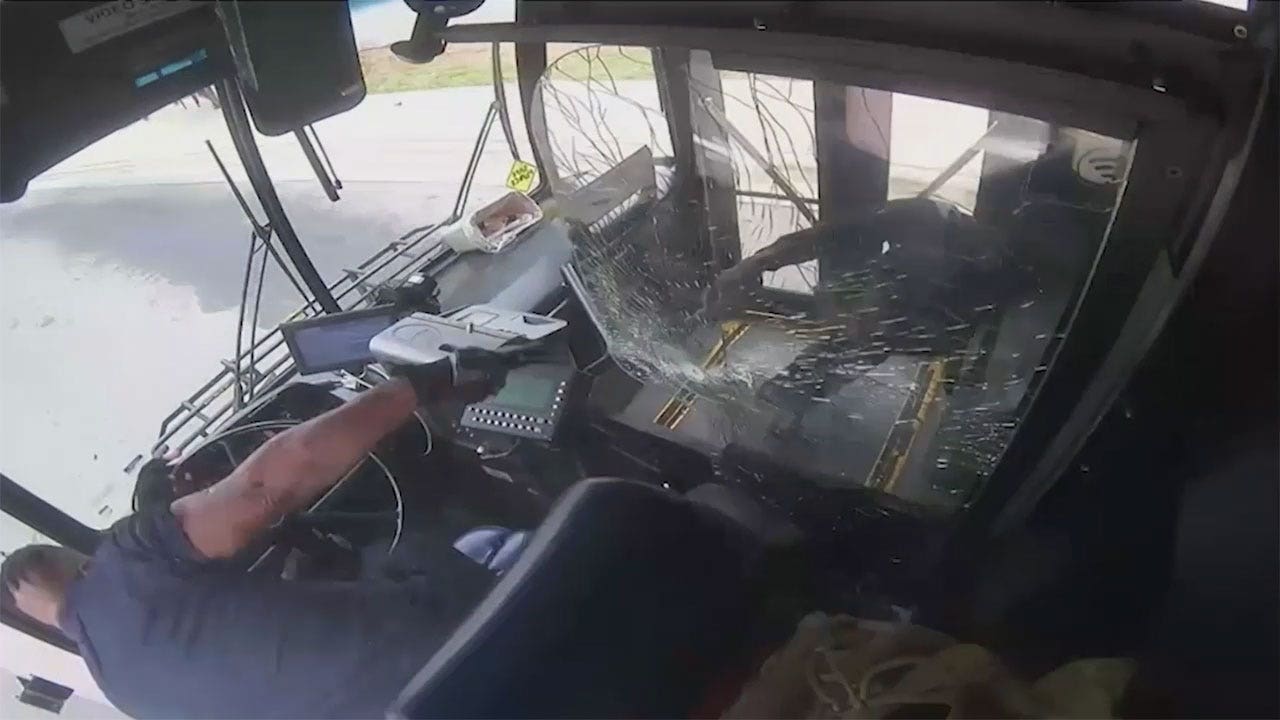 Wild video shows Charlotte bus driver, passenger