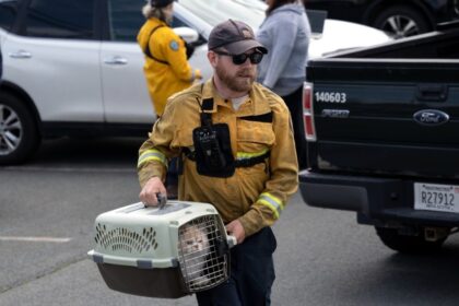 Wildfires in Nova Scotia: How Residents Reacted