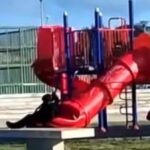 he jumped down a slide and got stuck