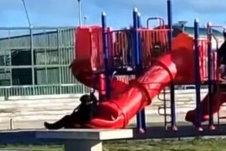 he jumped down a slide and got stuck