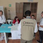 head of the Electoral Observation Mission of the