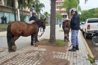 protesters on horseback tried to enter the