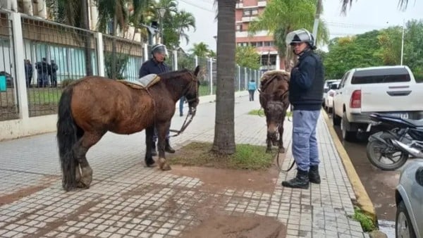 protesters on horseback tried to enter the