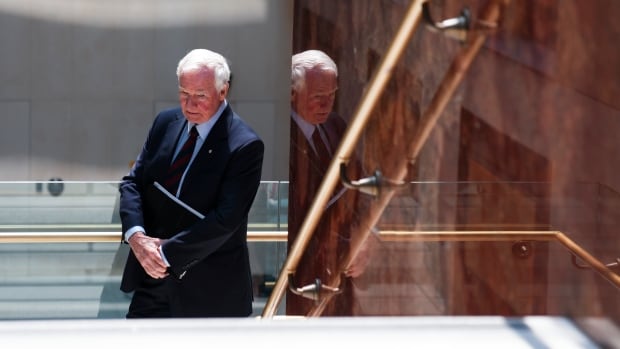 David Johnston plans to stay on as a special