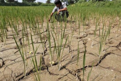 El Nino may be pounding Asian farms with dry weather, but showers