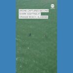 WATCH: Drone Captures 2nd Shark Sighting on Alabama Beach